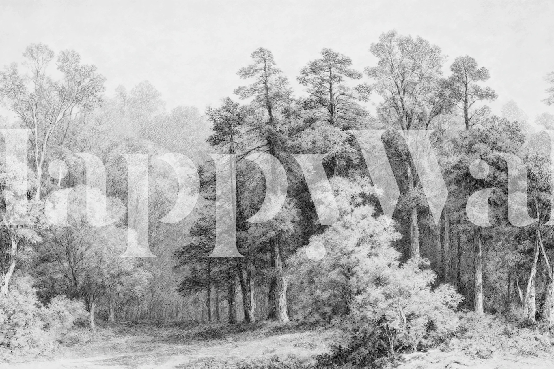 Foggy woods with black tree silhouettes and grey shading wallpaper