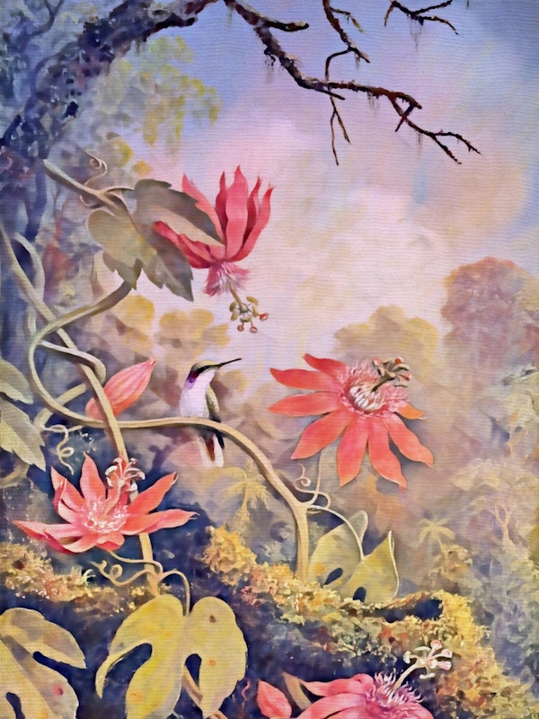 Enchanted Blossoms Art