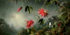 Enchanted Blossoms Art