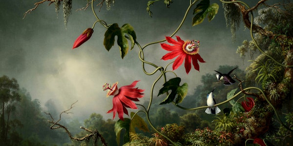 Enchanted Blossoms Art