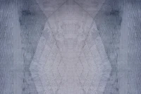 Abstract Etched Lines papiers peint