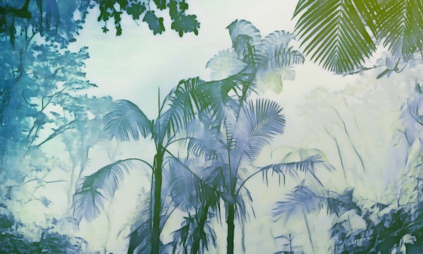 Ethereal Jungle Escape