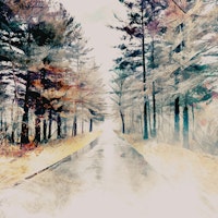 Mystic Forest Path tapete