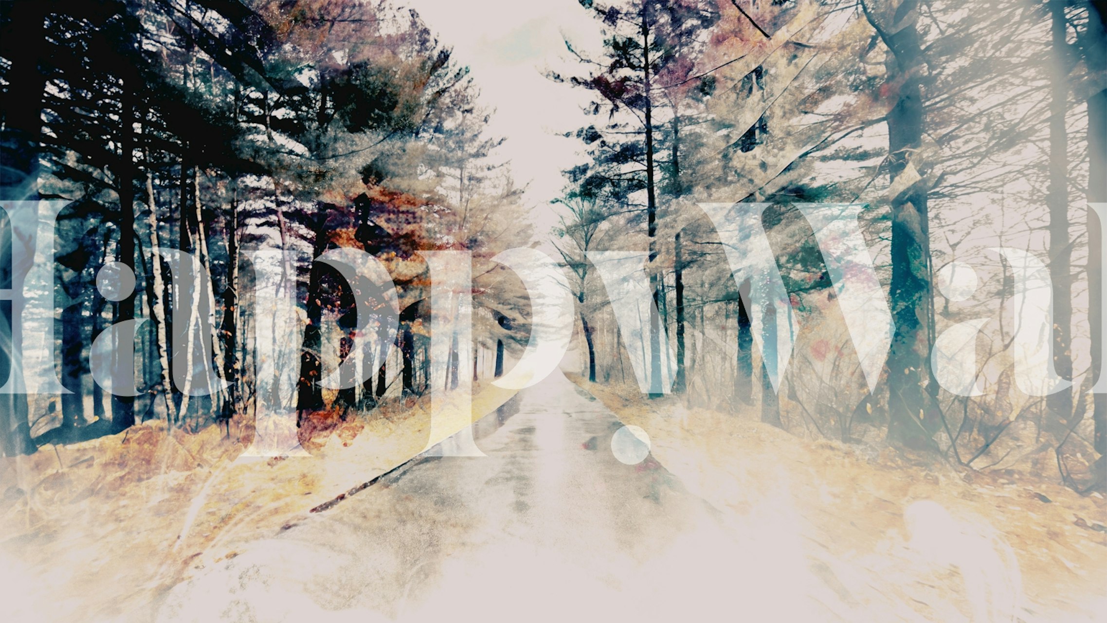 Mystic Forest Path Tapete in einer ruhigen Umgebung