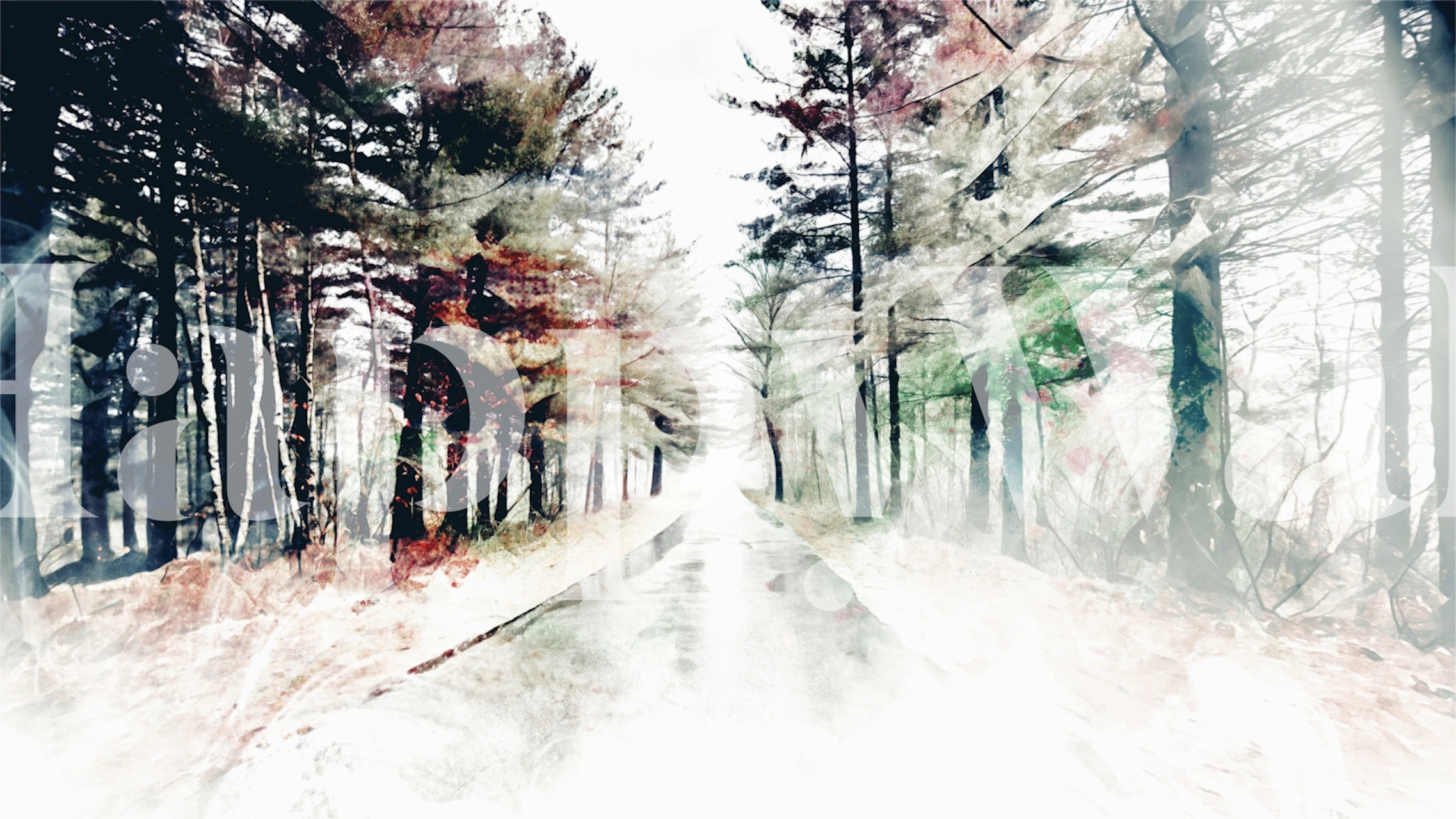 Wet forest path with faded trees in greens and browns wallpaper