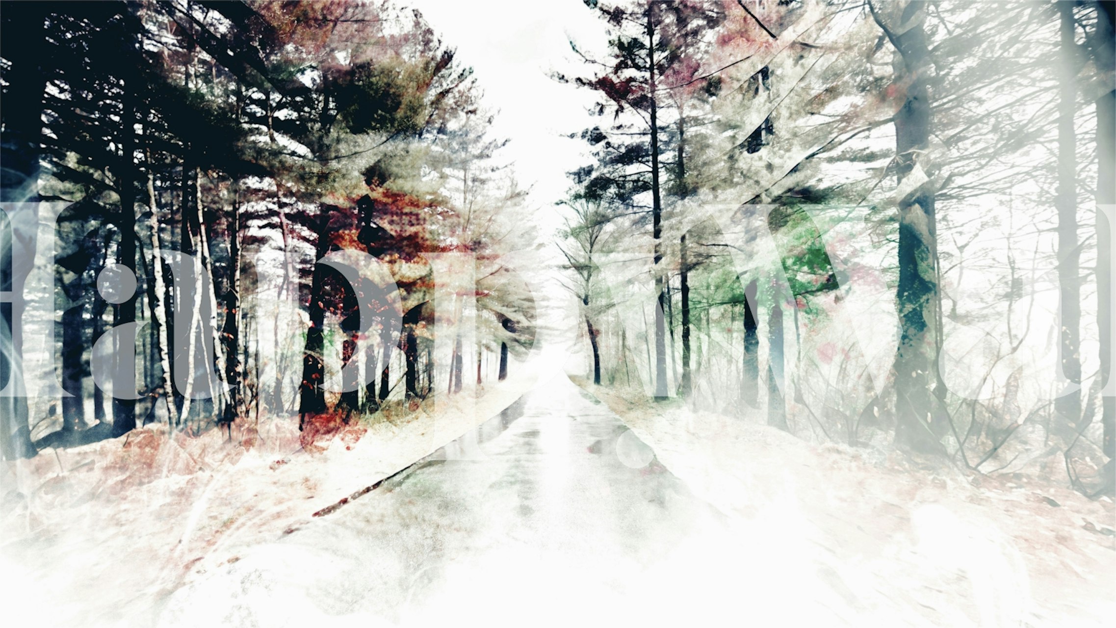 Wet forest path with faded trees in greens and browns wallpaper