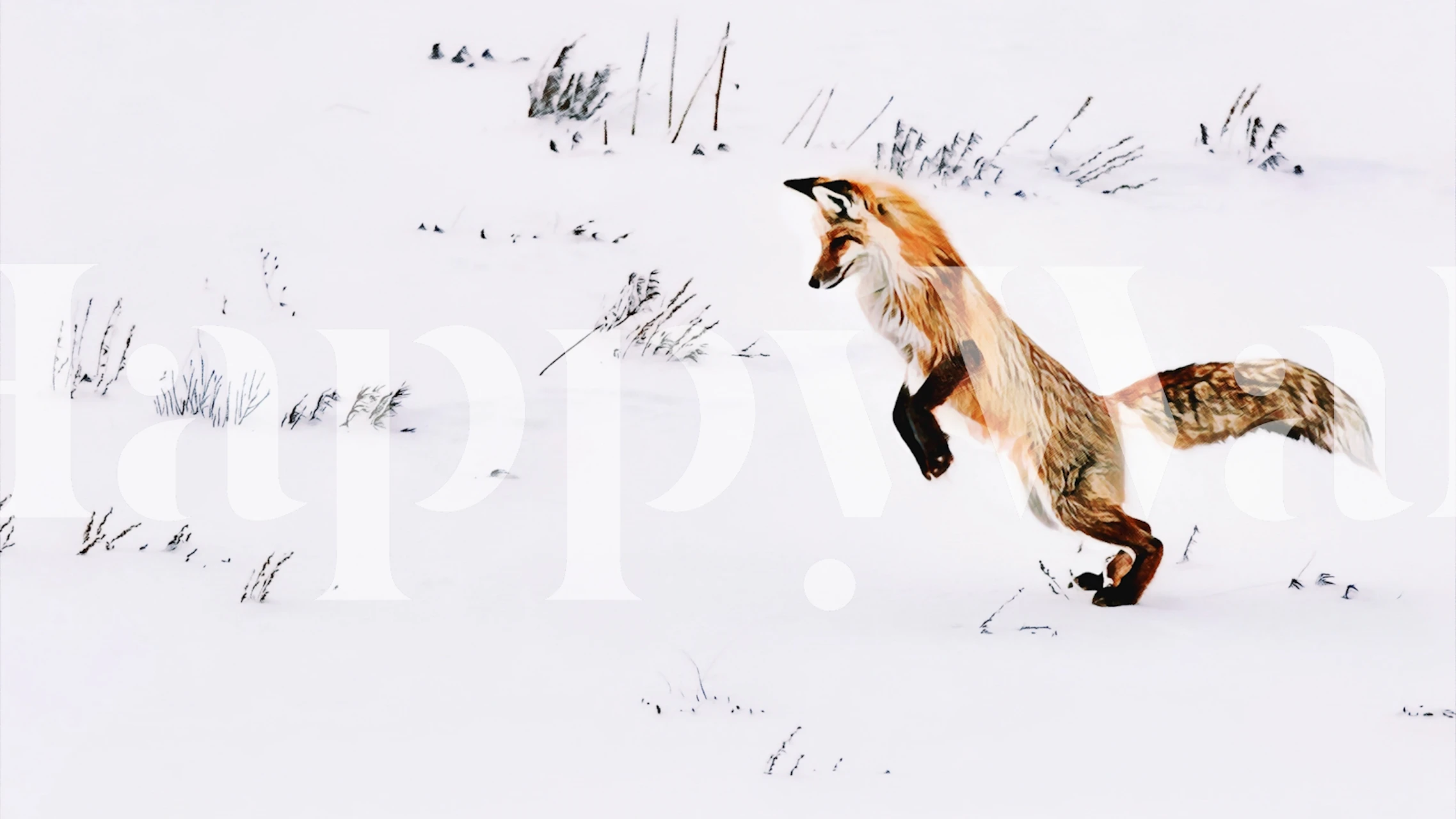 Winter fox playing in snow