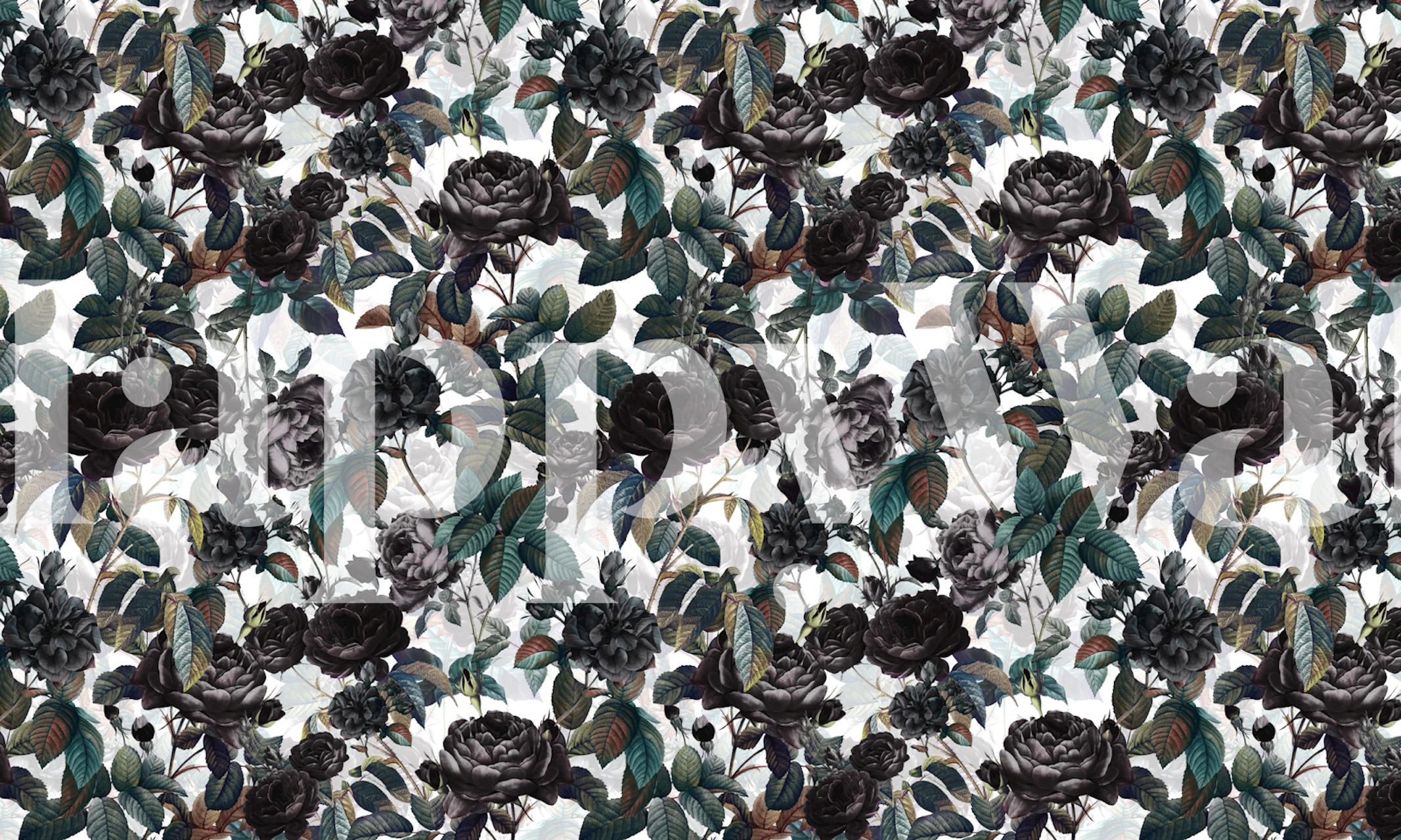 Roses in the Dark floral wallpaper in a room