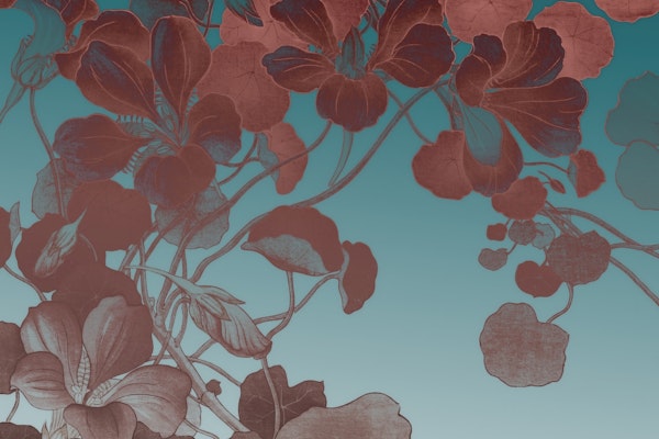 Floral Fantasy Essence