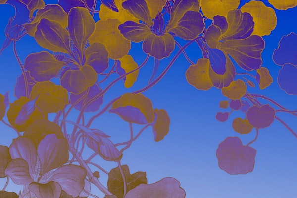 Midnight Floral Elegance