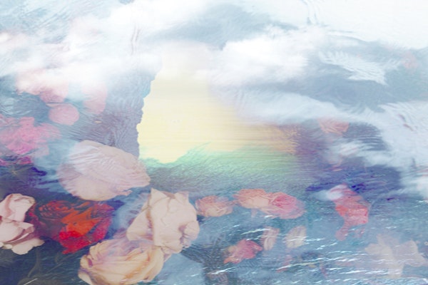 Dreamy Floral Landscape