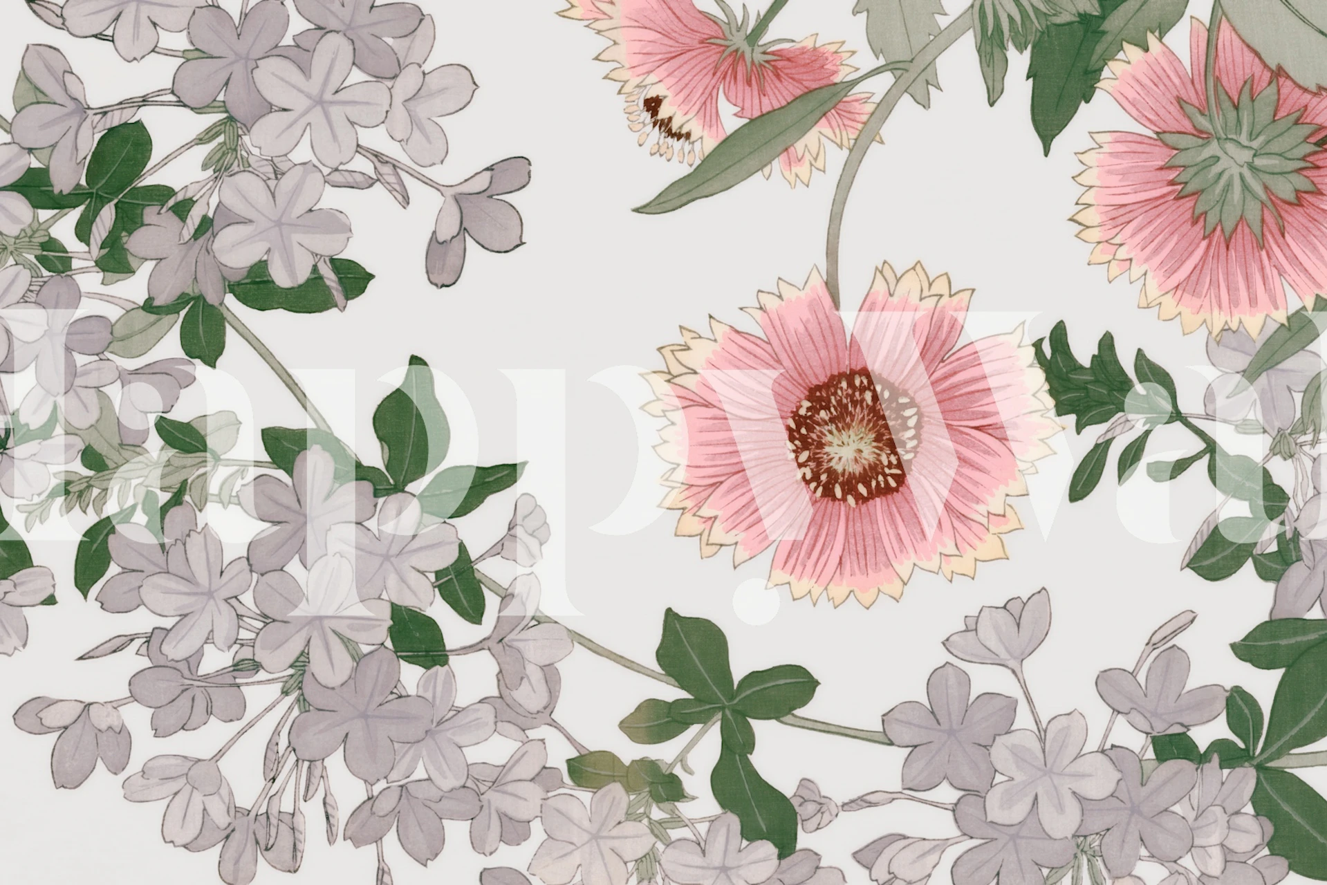 Pink floral wallpaper with large blossoms and green leaves