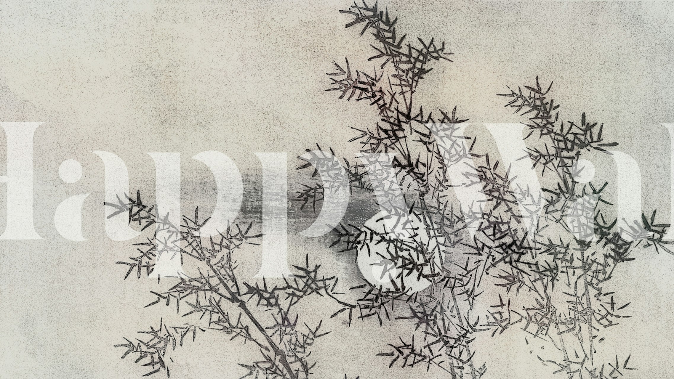 Bambous noirs et blancs avec un fond doux, mural zen wallpaper