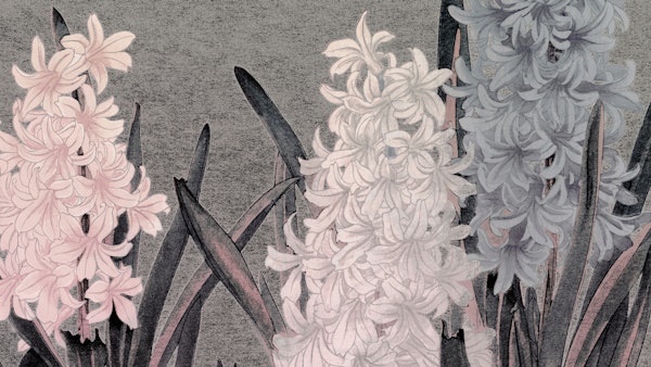 Ethereal Hyacinth Garden