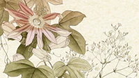 Elegant Blossom Art tapet