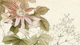 Elegant Blossom Art