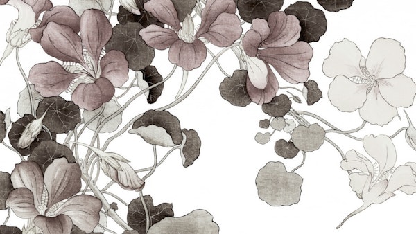 Vintage Botanic Etchings