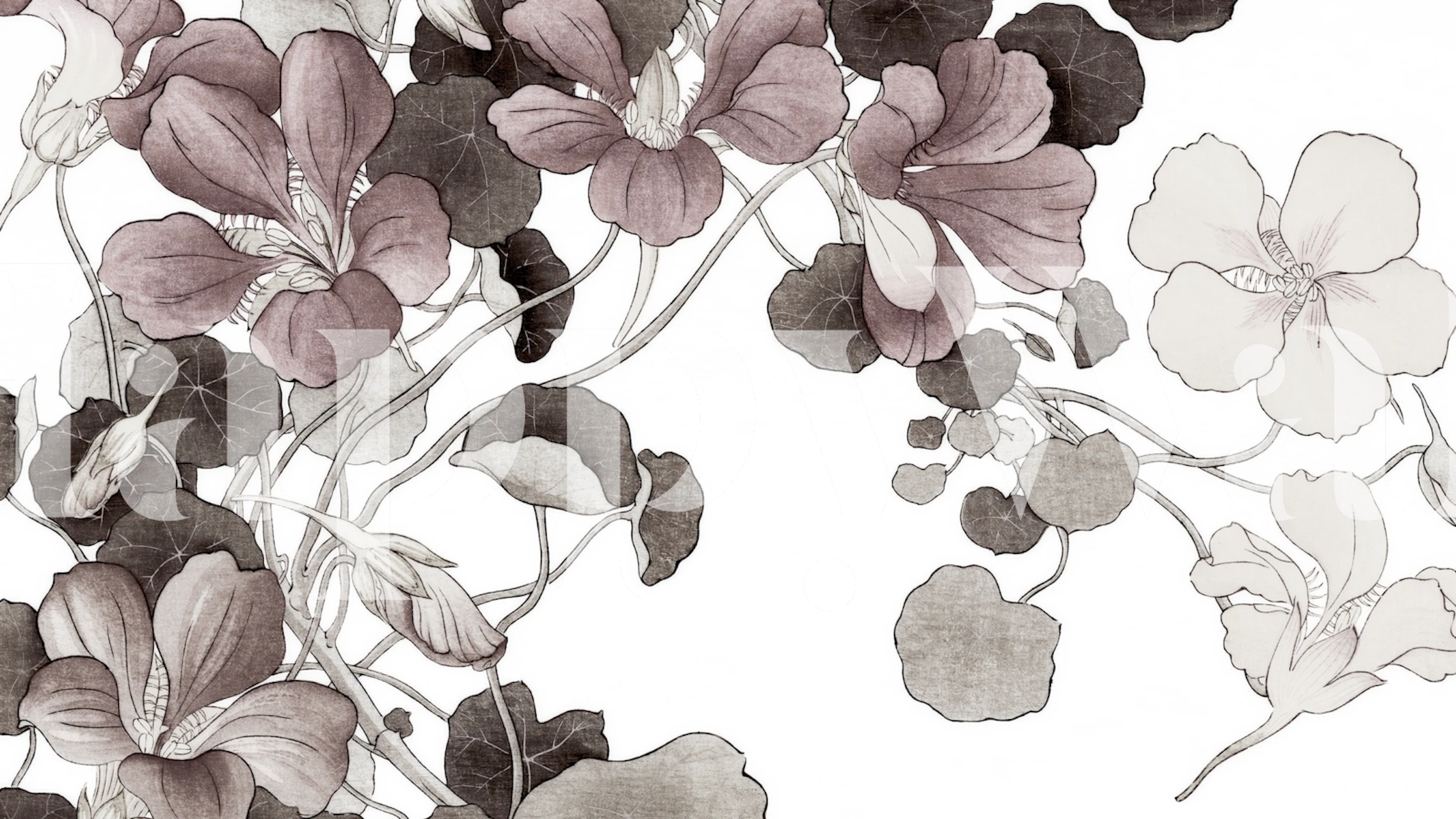 Papier peint Vintage Botanic Etchings dans une pièce