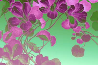 Floral Fantasy Artistry papel de parede