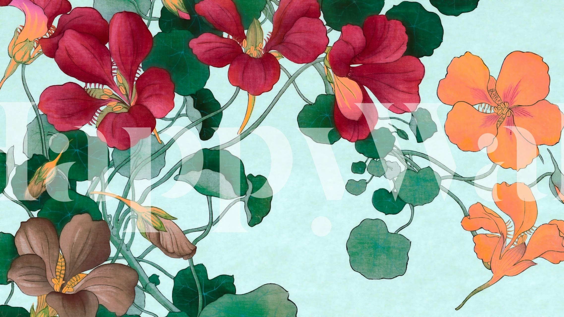 Red and orange flowers with green leaves on blue background wallpaper