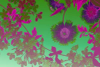Vibrant Flora Dream papel de parede