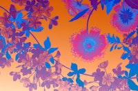 Vibrant Floral Eclipse tapete