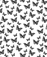 Black White Butterfly 1 wallpaper