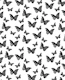 Black White Butterfly 1