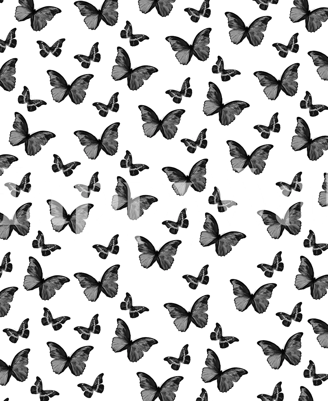 Black and white butterfly pattern wallpaper