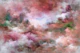 Misty Rose Dreams