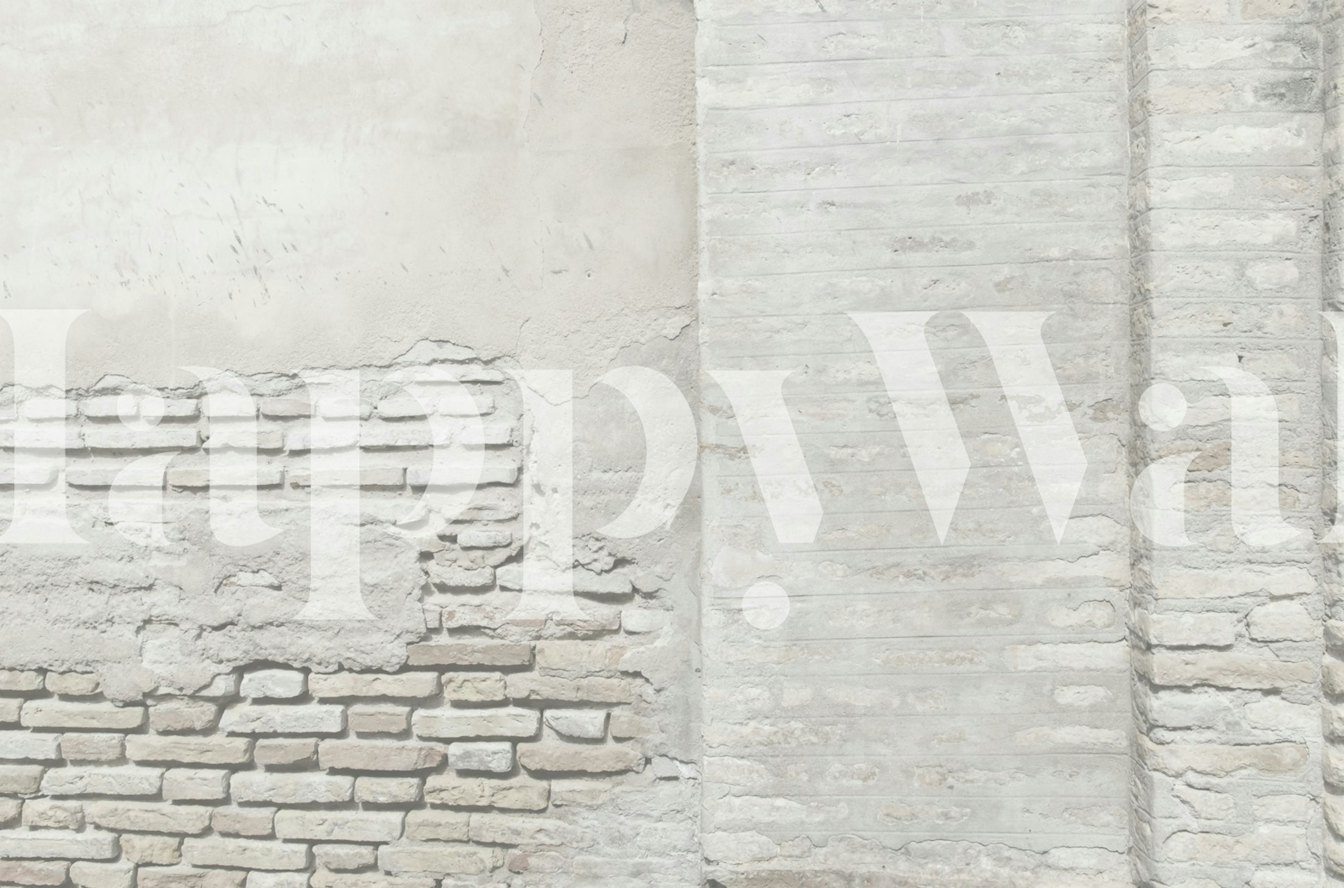 Rustic Spanish Brick Wall in una stanza