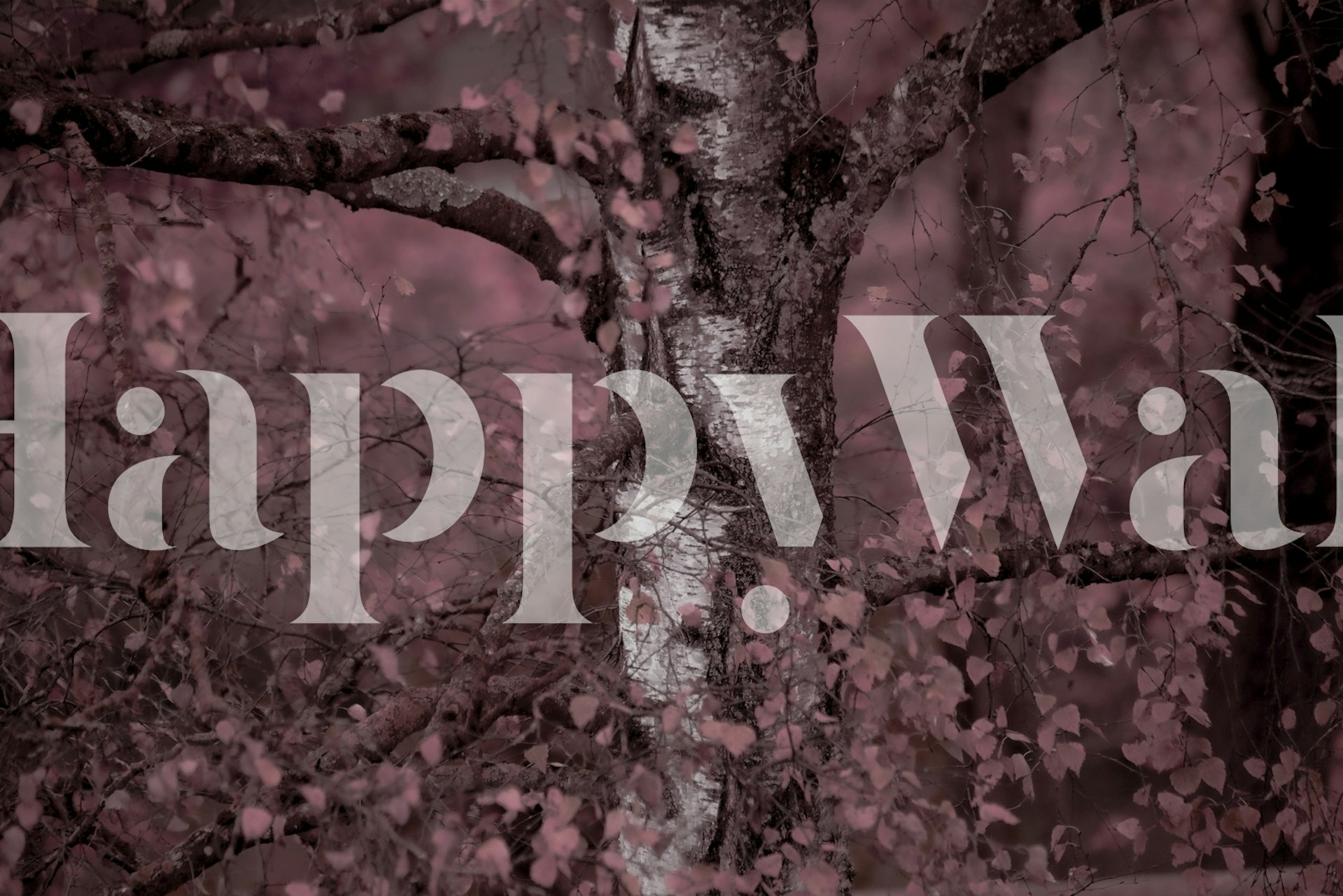 Birch tree with soft pink leaves and branch details wallpaper