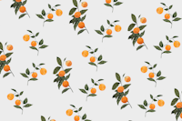 Sunkissed Oranges on Light Gray ταπετσαρία