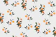 Sunkissed Oranges on Light Gray