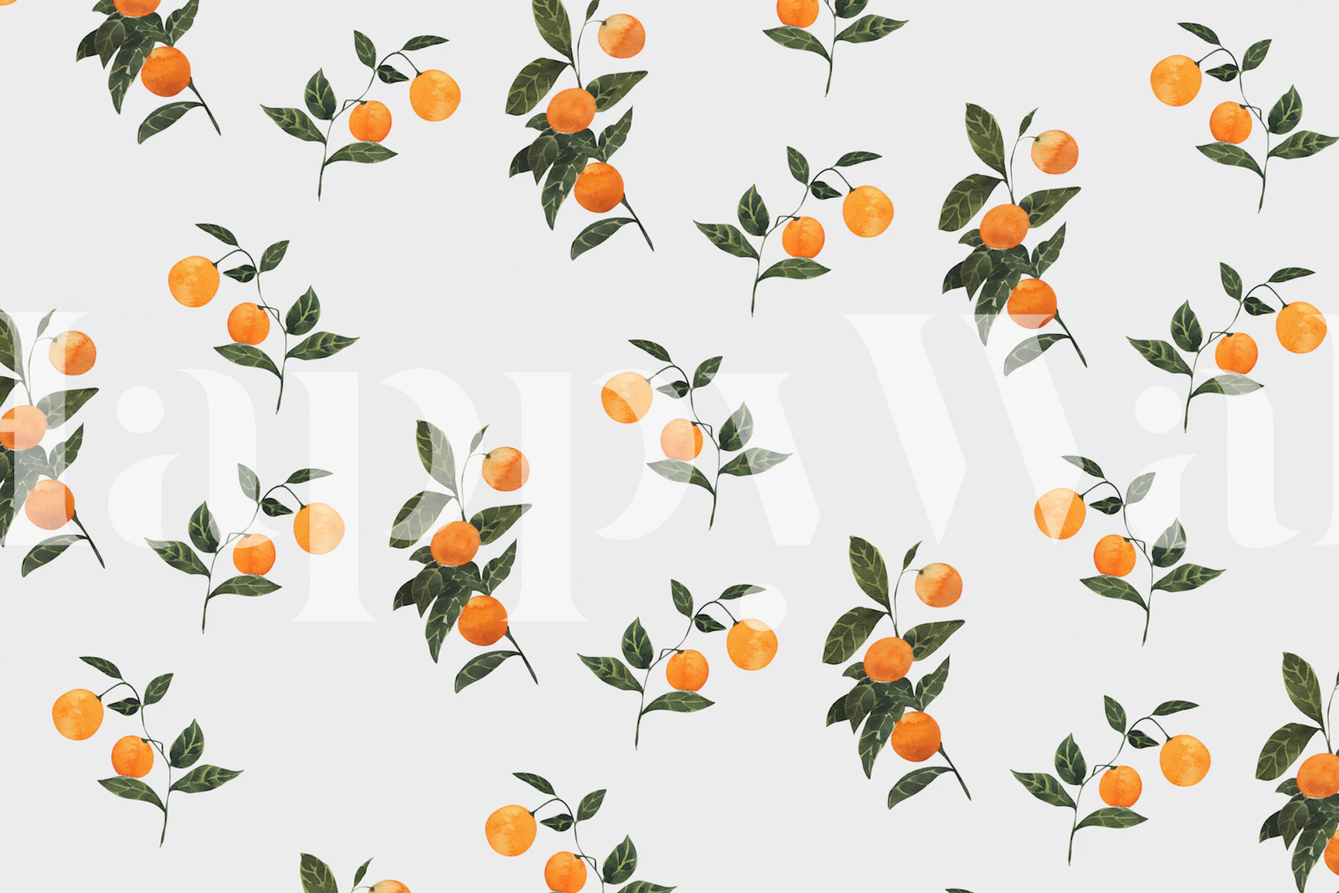 Sunkissed oranges wallpaper in a room