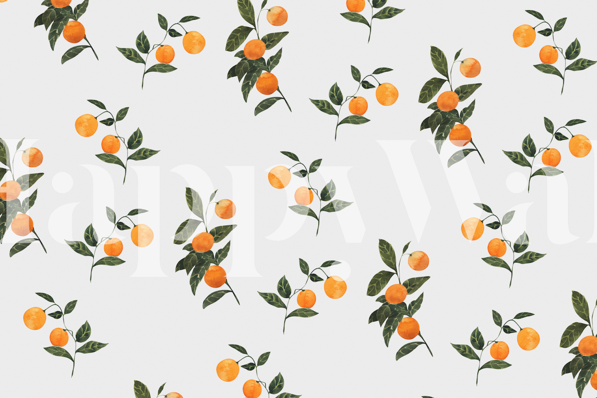 Sunkissed Oranges wallpaper i ett rum