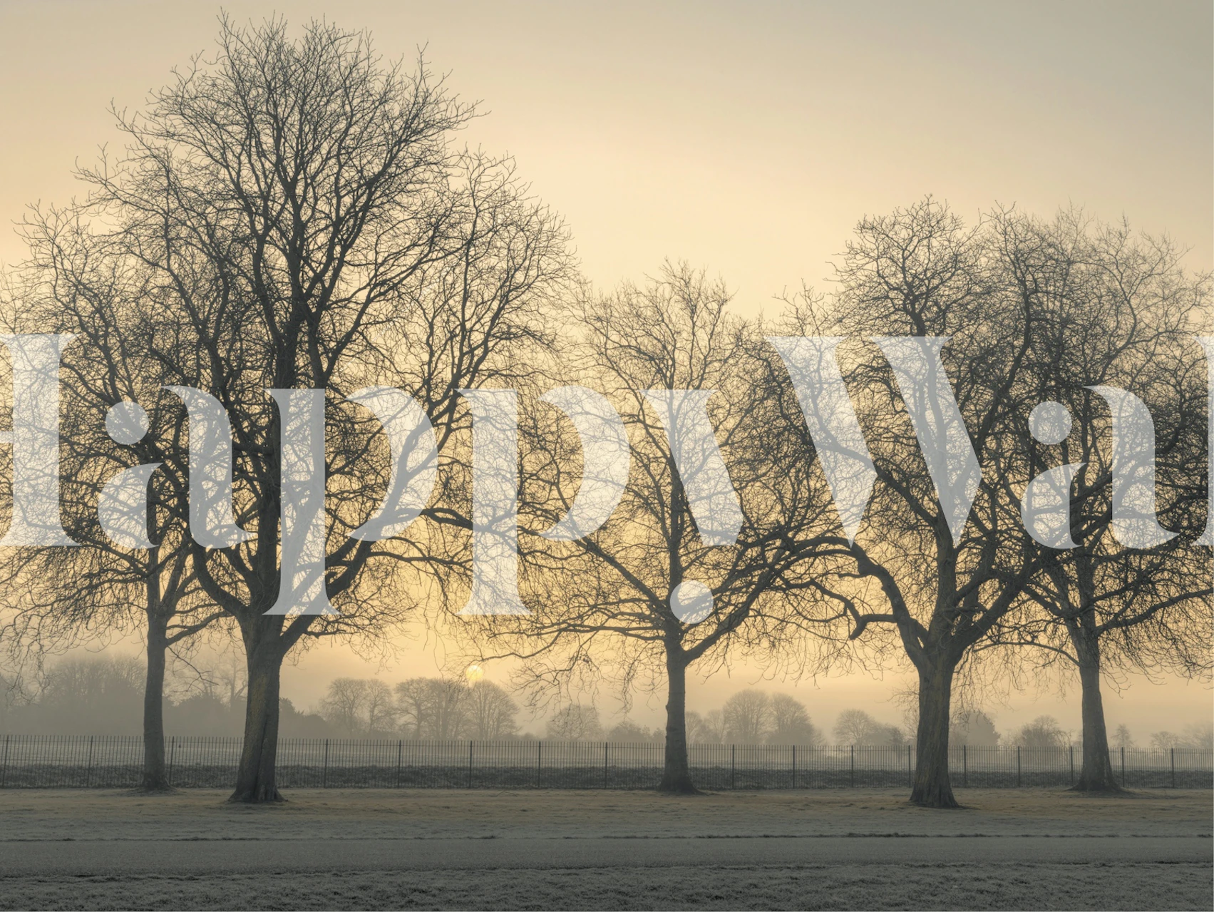 Dreamscape in Fog wallpaper in a room