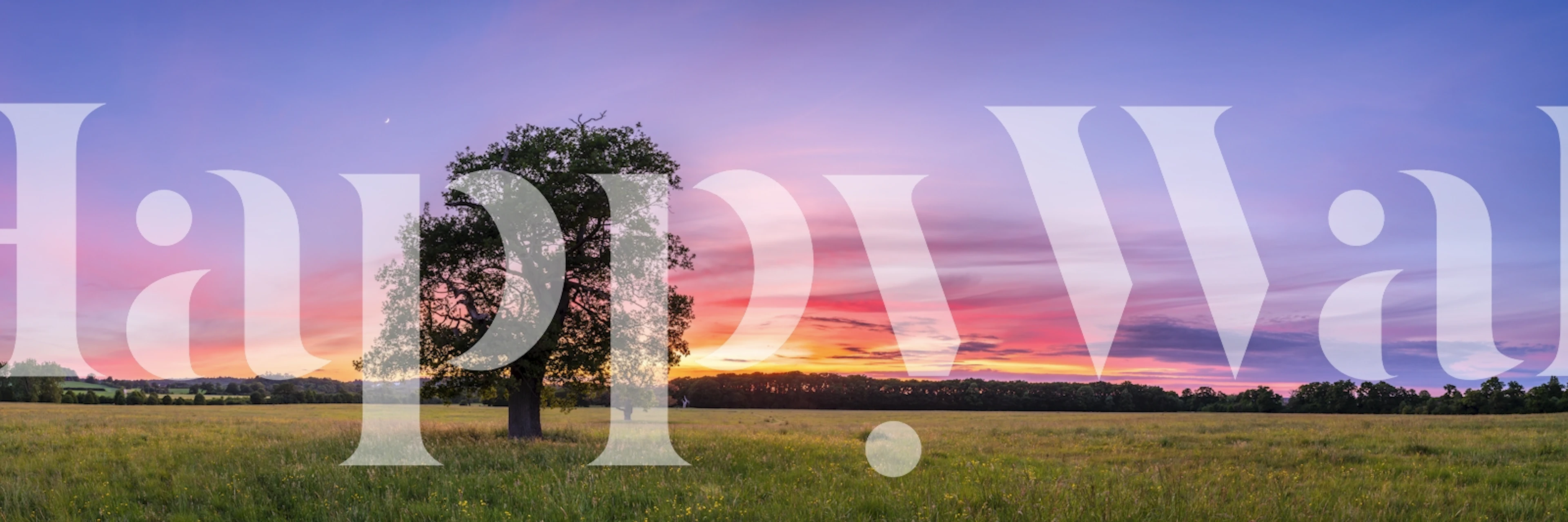 Lone Sentinel wallpaper featuring a tree at sunset