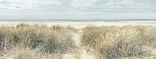 Grassy Dunes and Coastal Peace