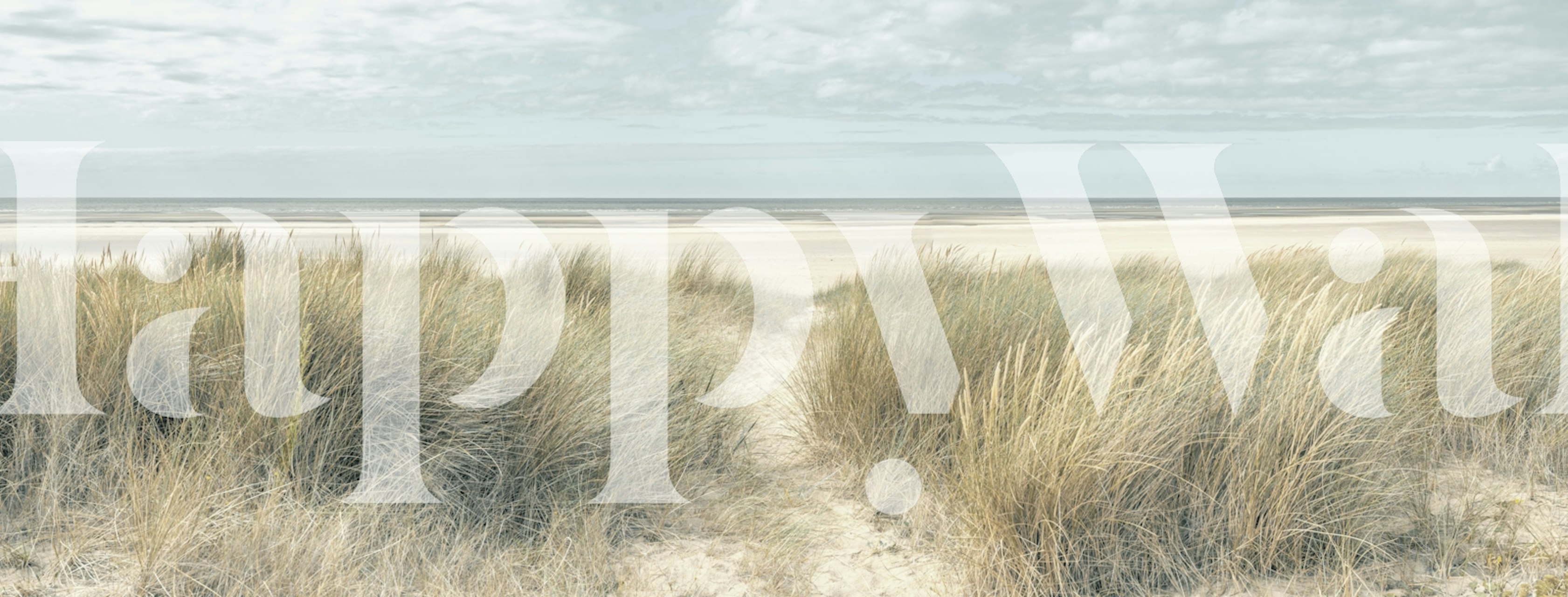 Wall mural of grassy dunes and coastal view