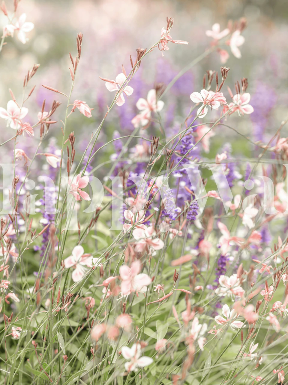 Soft and delicate květinový vzor tapeta