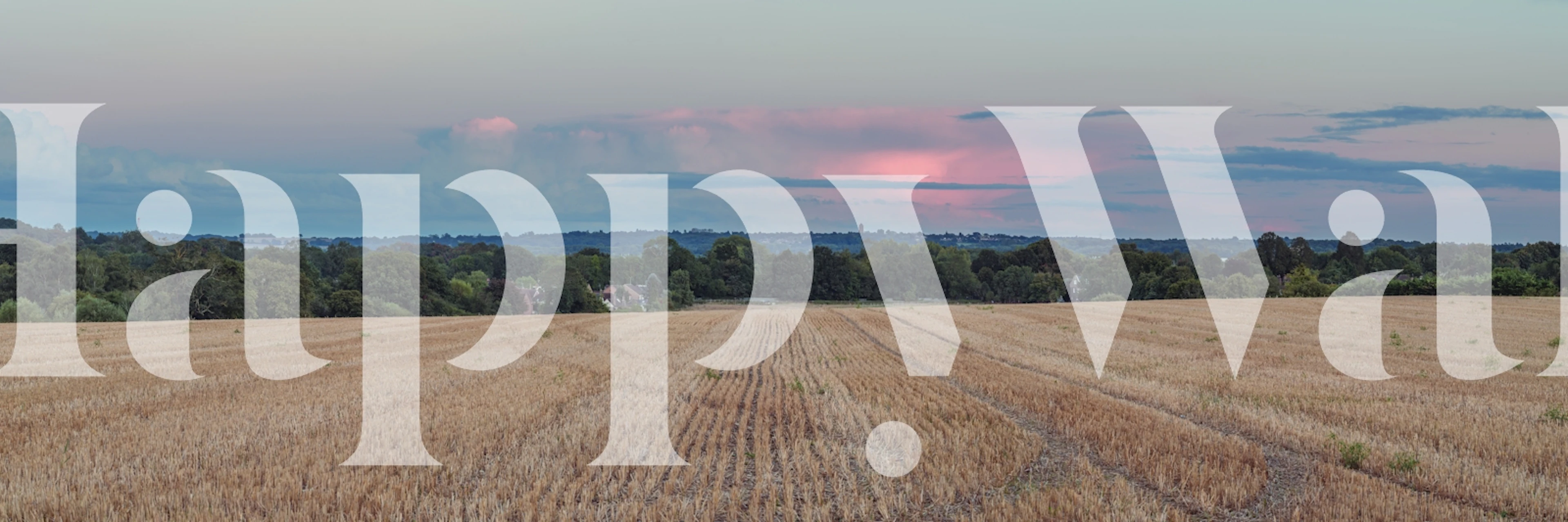 Wheat field panorama wallpaper in a room