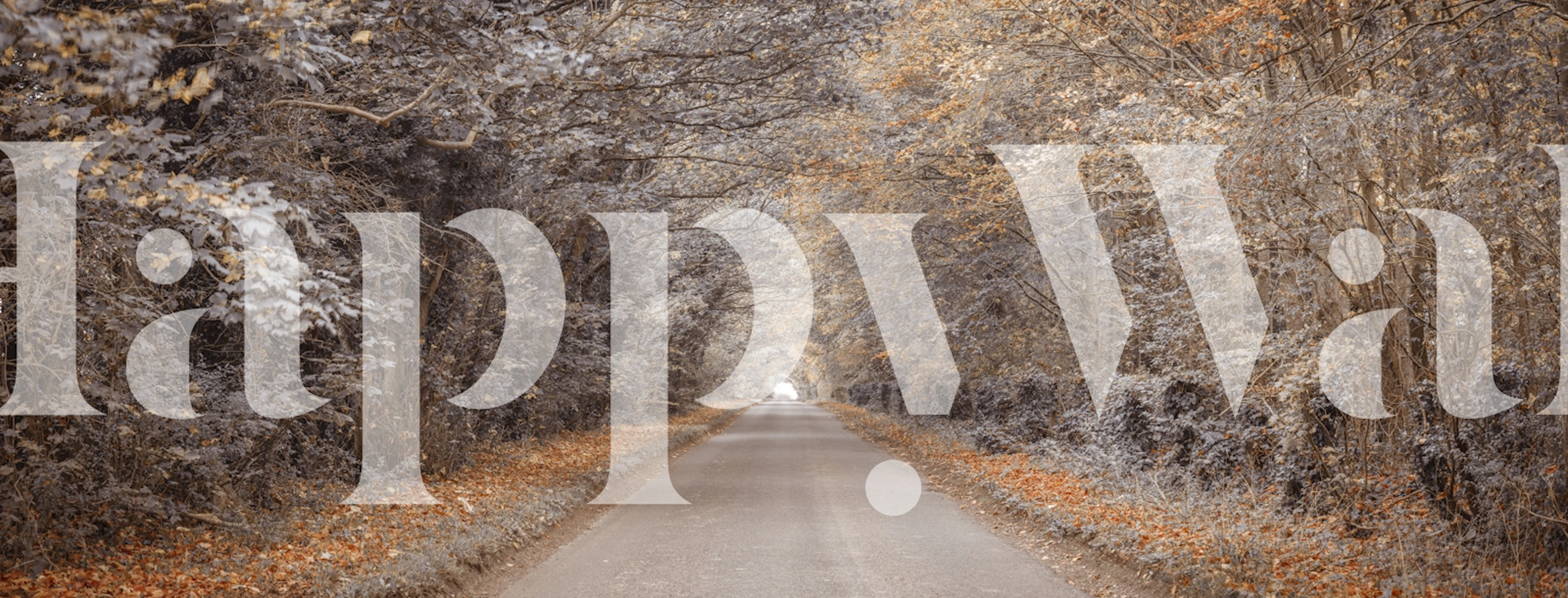 Carta da parati con un paesaggio autunnale e una strada