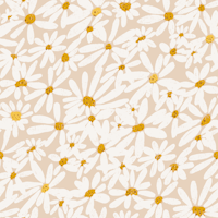 Summer retro daisies on blush pink tapetit