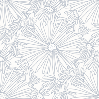 Blue Sketchy Daisies on white papiers peint