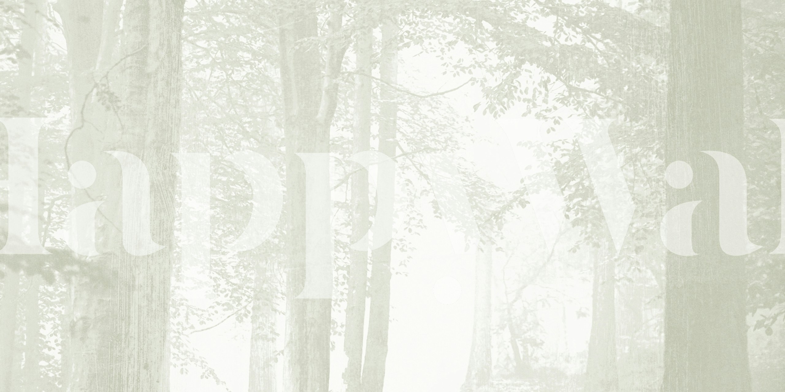 Ethereal Trees Vista behang in een kamer