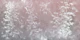 Misty Garden Dream