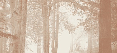 Wandgemälde