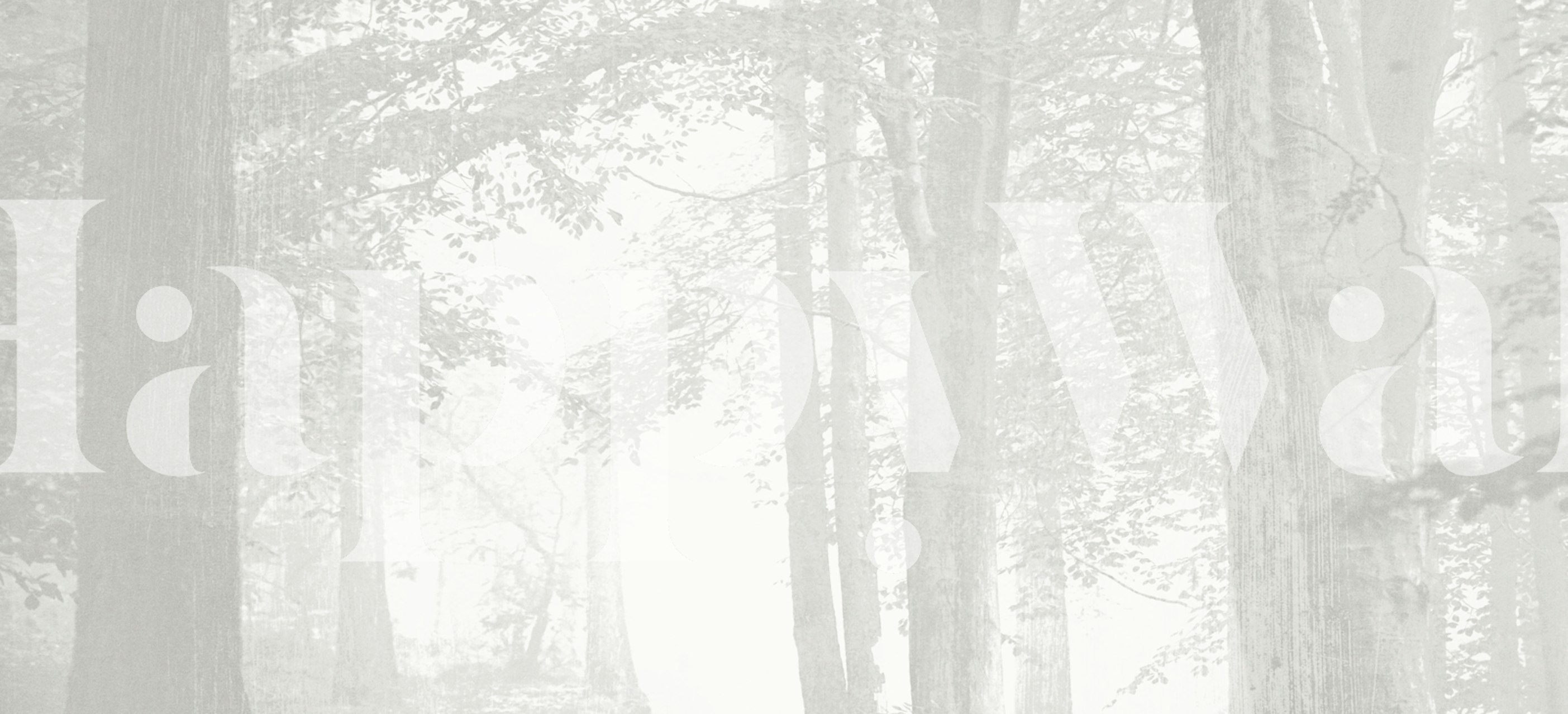 Serene Woodland Haze wallpaper in a room