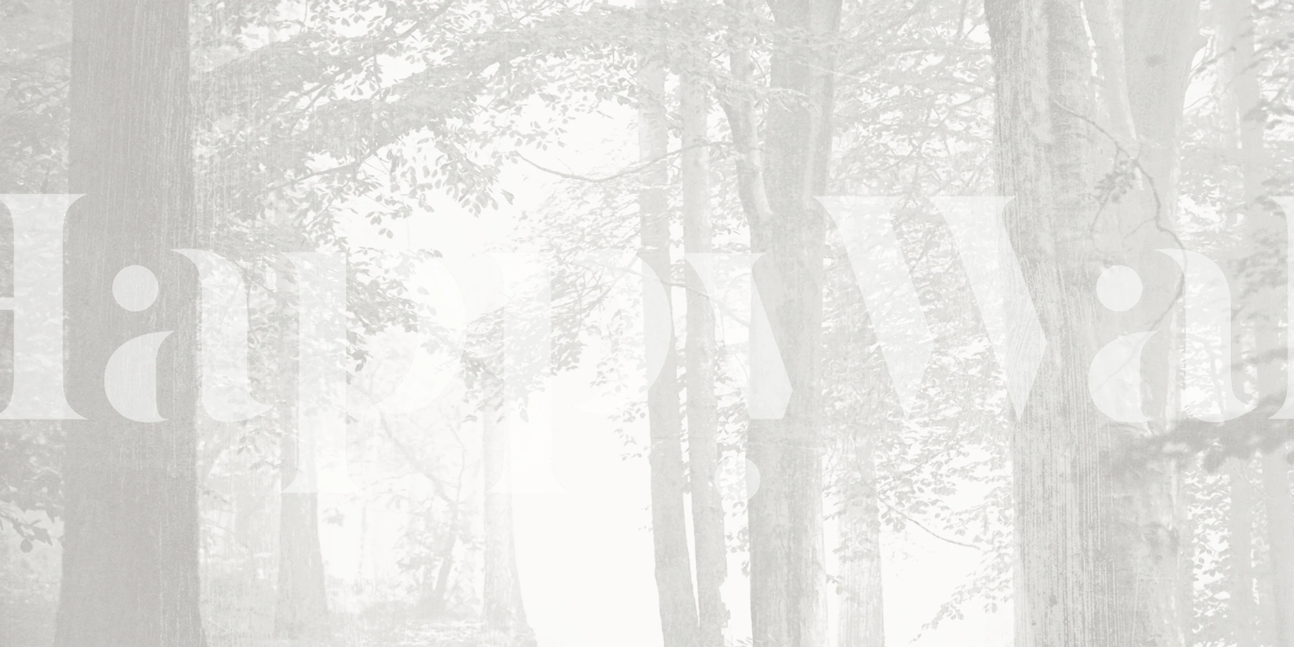 Tapeta Serene Woodland Haze v místnosti
